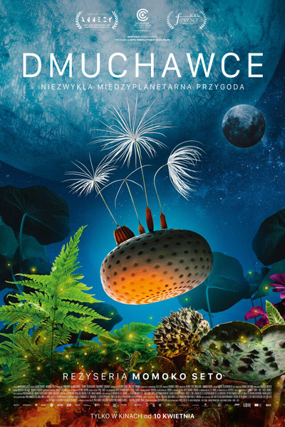 Event poster:  DKF Klaps - Dmuchawce 